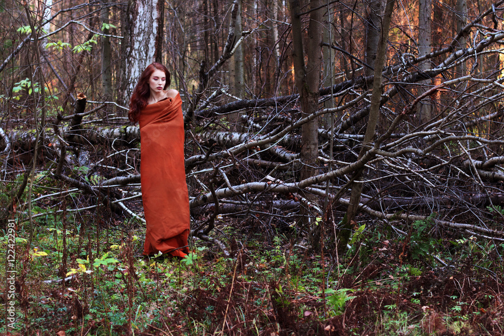 Girl in plaid stands near downed trees in forest, full body port Girl in plaid stands near downed trees in forest, full body port