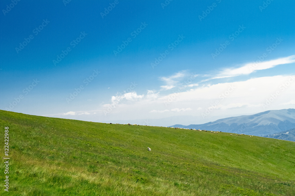 Wonderful landscape of Ukrainian Carpathian mountains. Wonderful landscape of Ukrainian Carpathian mountains.