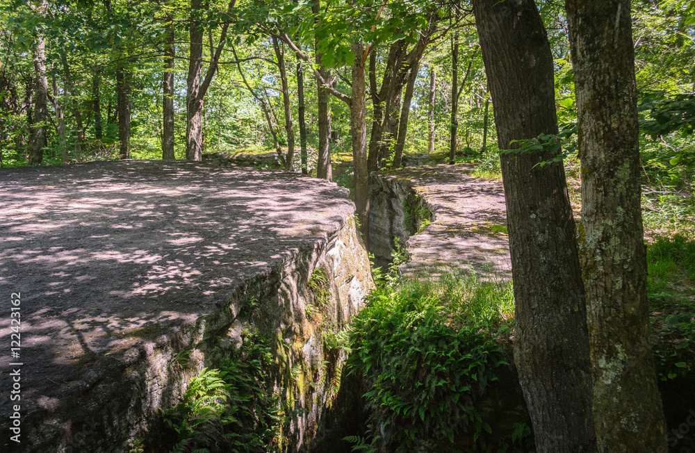 Fototapeta premium Little Rock City