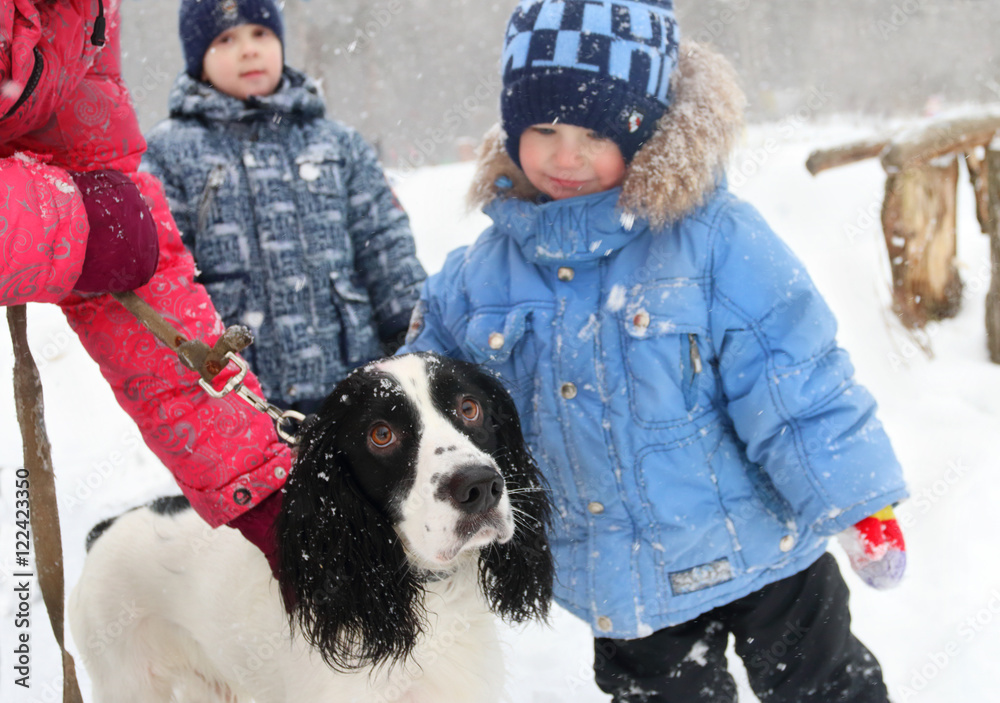 Two boys and dog and hands of owner of dog during snowfall at wi