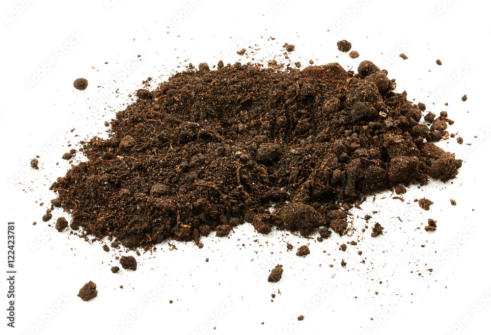 Soil Soil