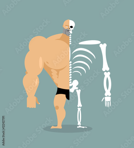 human structure. Skeleton men. construction of athlete. Bones an