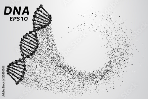 DNA from the particles. Silhouette of DNA consists of small circles. Vector illustration
