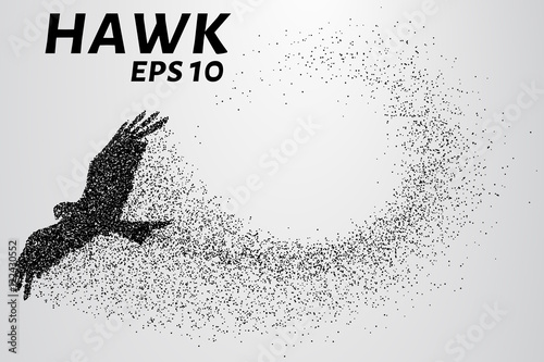 Hawk of the particles. The silhouette of a hawk consists of small circles. Vector illustration