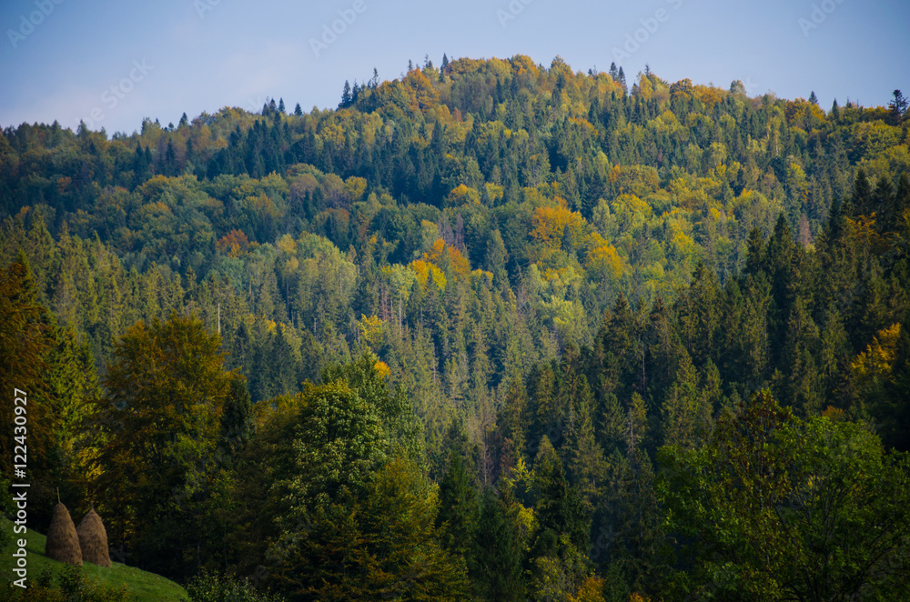 Carpathian mountains landscape