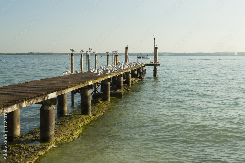 Wooden dock at lake