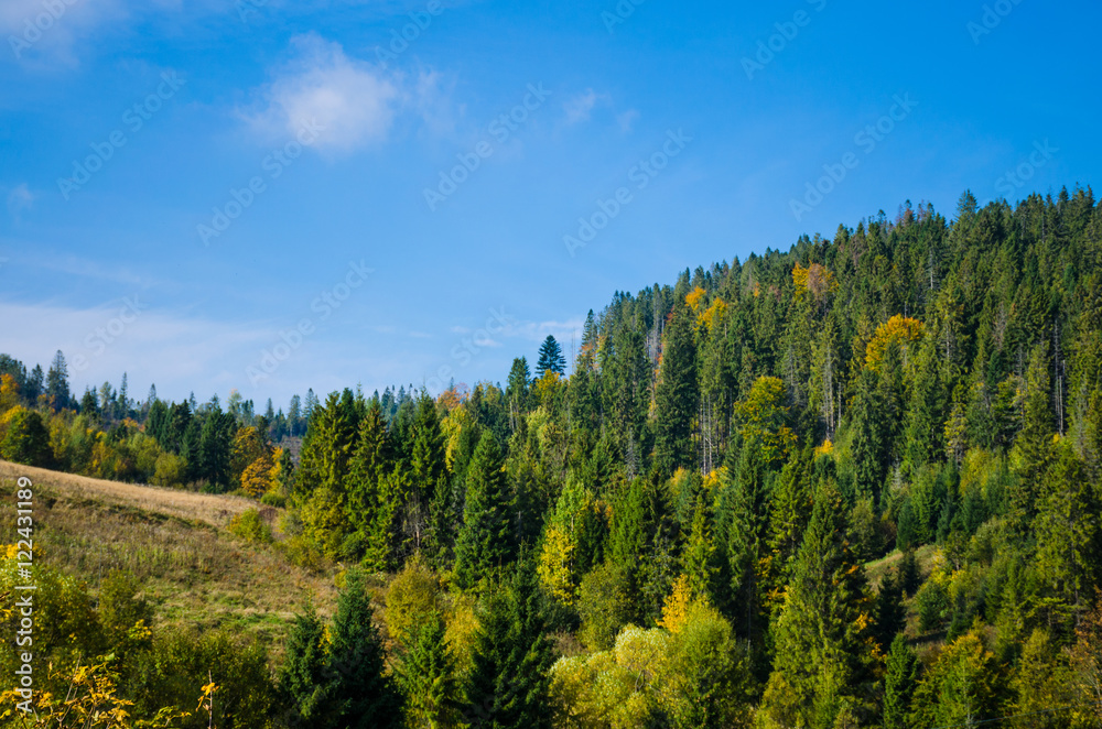 Carpathian mountains landscape