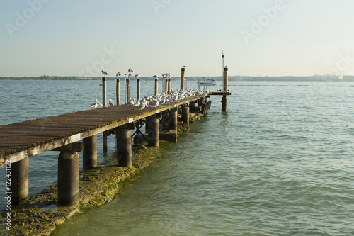 Wooden dock at lake © matteosan