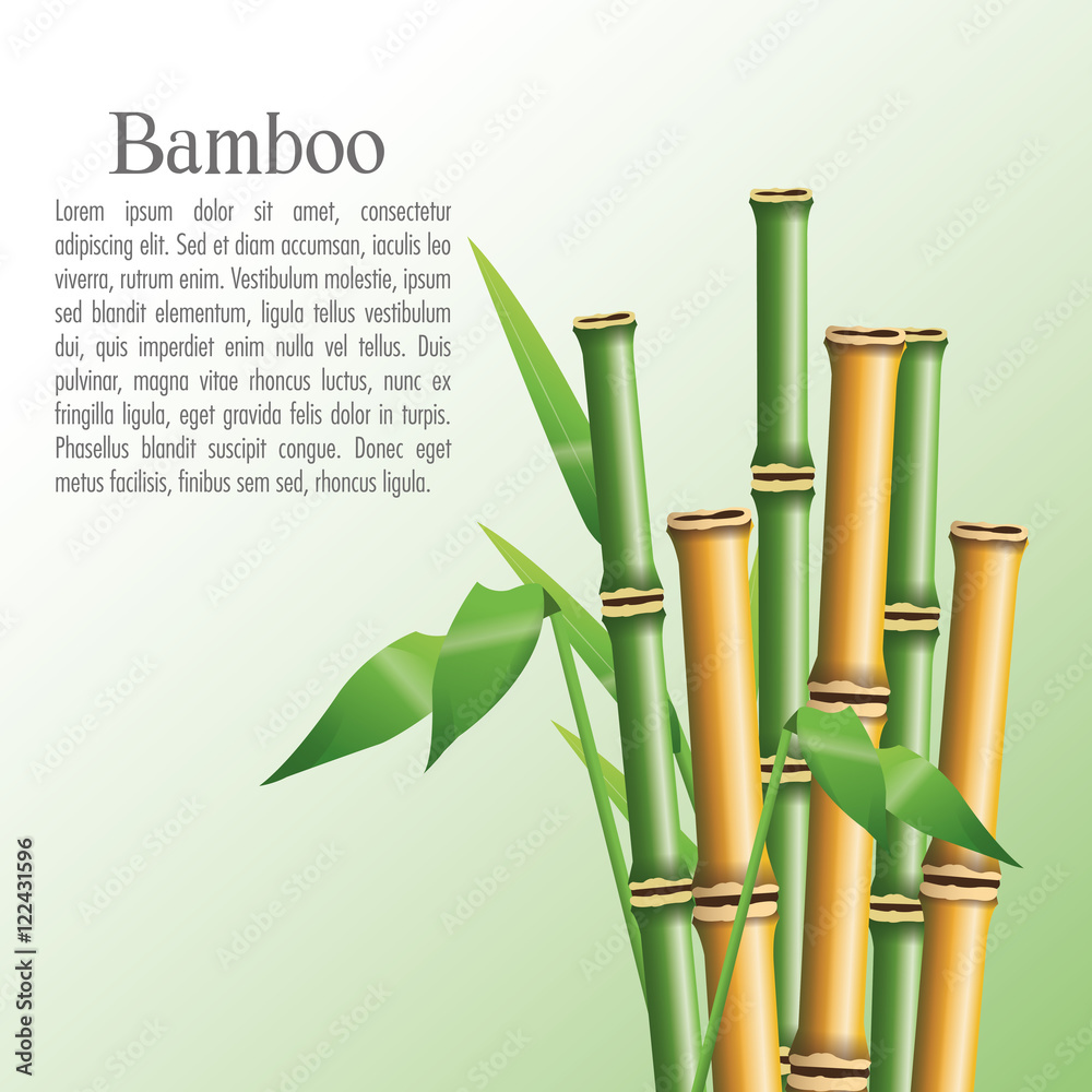 Bamboo trunk with leaves icon. Nature plant decoration and asia theme. Colorful design. Vector illustration Bamboo trunk with leaves icon. Nature plant decoration and asia theme. Colorful design. Vector illustration