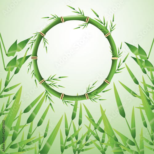 Circle of bamboo trunk with leaves icon. Nature plant decoration and asia theme. Colorful design. Vector illustration