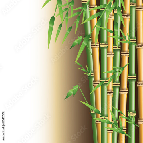 Bamboo trunk with leaves icon. Nature plant decoration and asia theme. Colorful design. Vector illustration