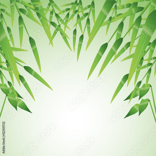 Fototapeta Naklejka Na Ścianę i Meble -  Bamboo leaves icon. Nature plant decoration and asia theme. Colorful design. Vector illustration