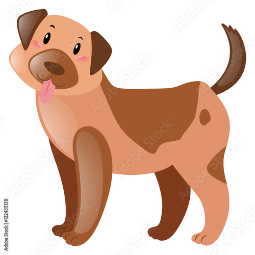 Brown dog with happy face