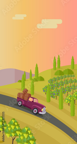 Rural Landscape with Vineyard