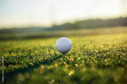 Golf ball on tee in the grass.
