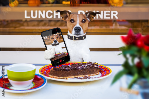 dog eating cake and tea at resataurant selfie