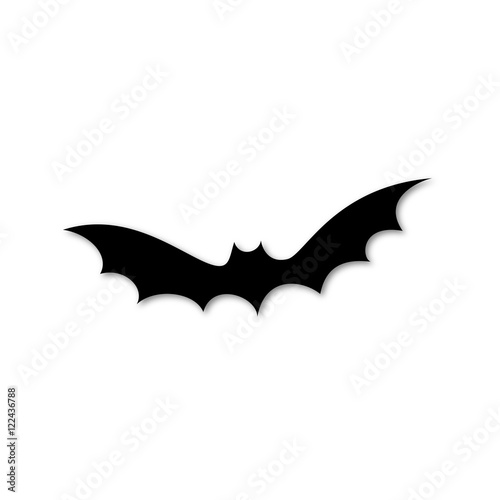 Chauve souris