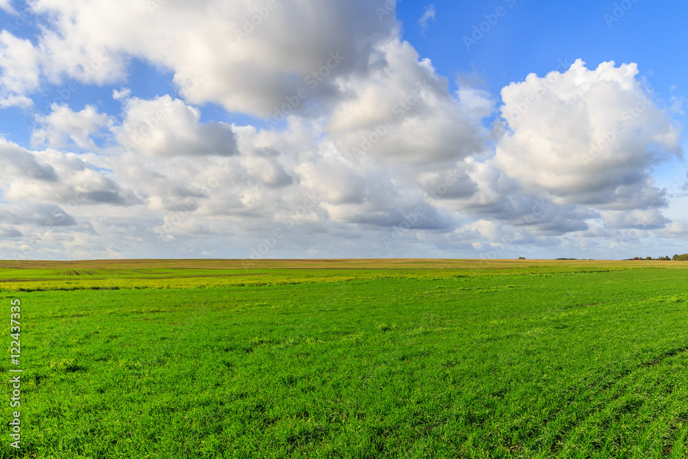 Green field and blue sky with clouds Green field and blue sky with clouds