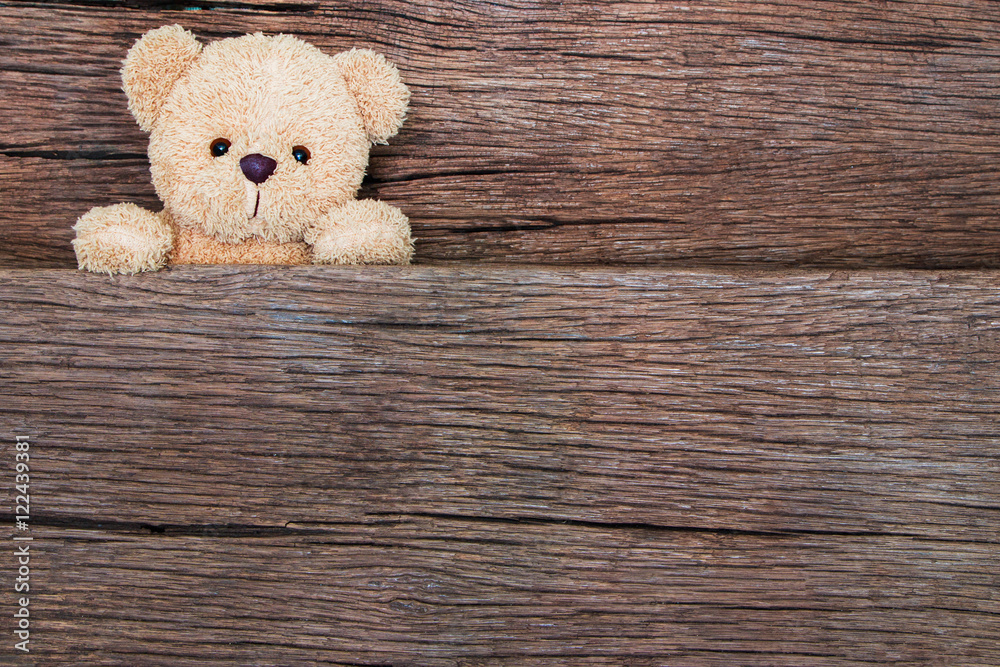 Obraz premium teddy bears