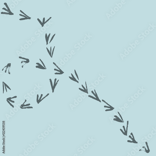 Hand drawn bird paws pattern seamless in vector. Bird footprint illustration.