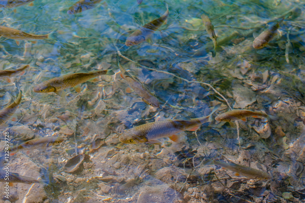 Plitvice Lakes Croatia