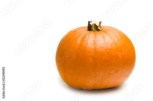Fresh orange pumpkin on white background