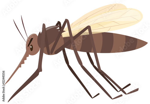 Mosquito flying on white background