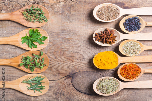 assortment of spices and herbs © olgasun