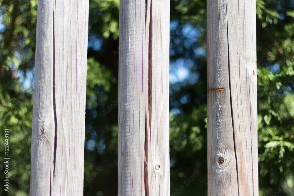 White fence, trees background White fence, trees background