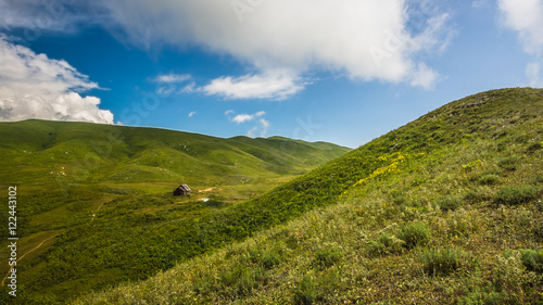 Альпийские луга