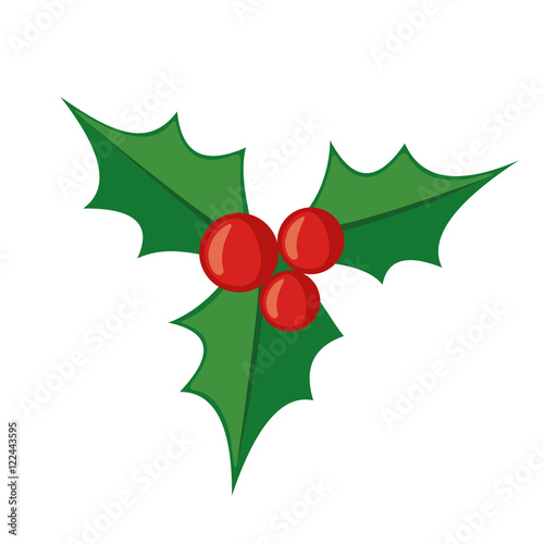 Fényképezés Christmas mistletoe icon in flat style.