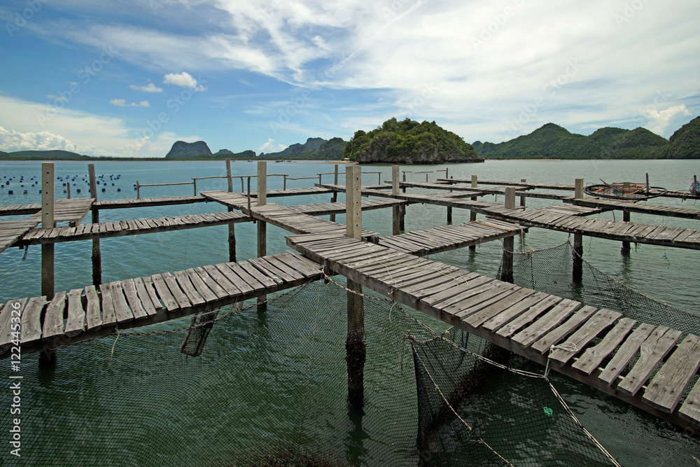 wooden jetty in the sea