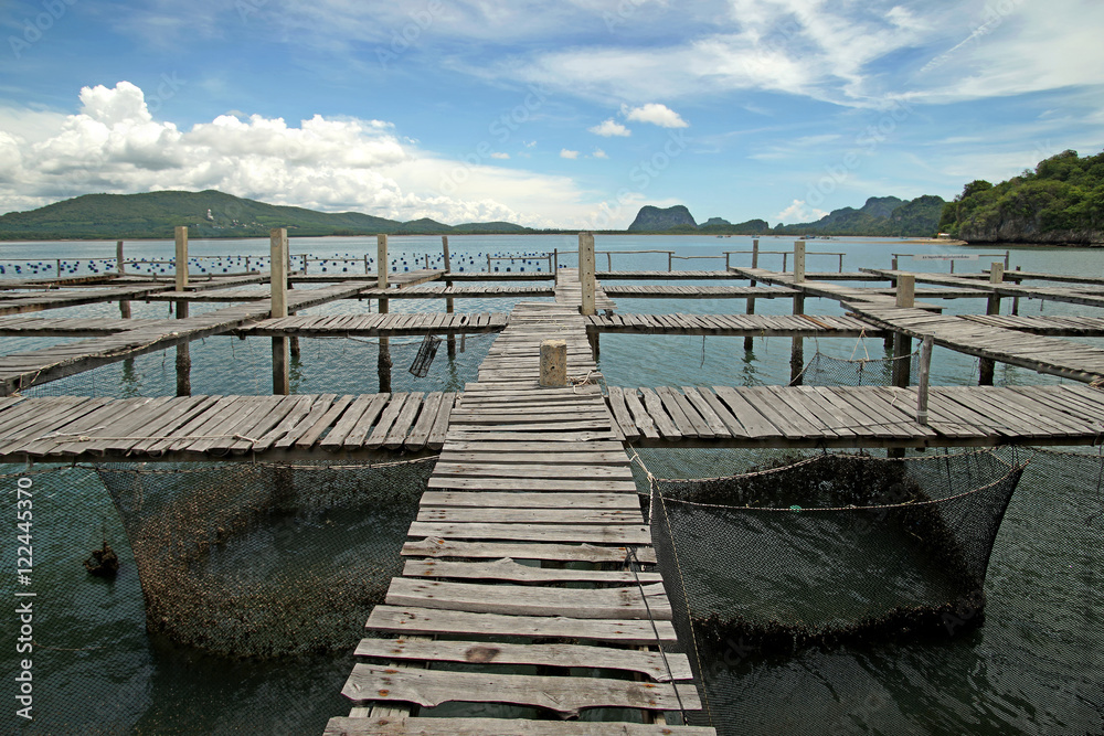 Fototapeta premium wooden jetty in the sea