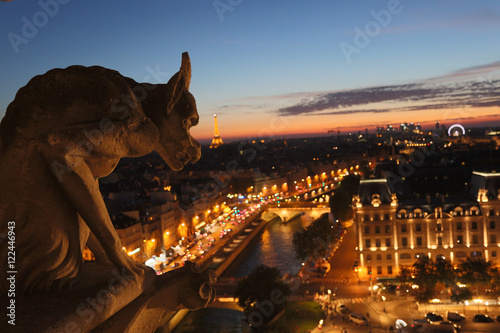 Chimeras of Notre Dame