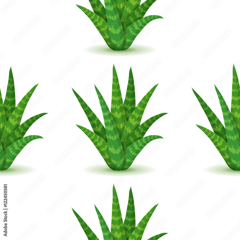 Aloe vera - seamless pattern with desert plants. Nature floral background with green succulent leaf. Wallpaper with plantation of aloe. Vector illustration Aloe vera - seamless pattern with desert plants. Nature floral background with green succulent leaf. Wallpaper with plantation of aloe. Vector illustration