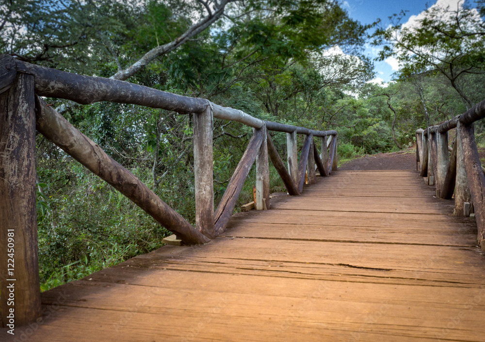 Wooden bridge on a path in the Mangabeiras Park - Belo Horizonte, Minas Gerais, Brazil. April 2016