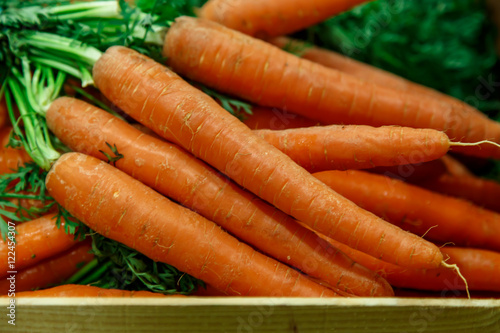 organic carrot group closeup