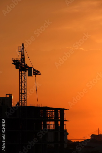 Silhouette Crane on Sunset Background
