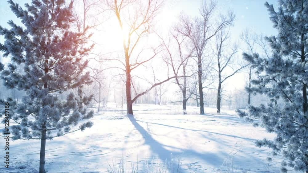 Snowfall in morning winter park slowmotion
Snowfall in morning winter park slowmotion