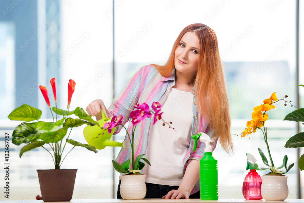 Redhead woman taking care of plants at home Redhead woman taking care of plants at home