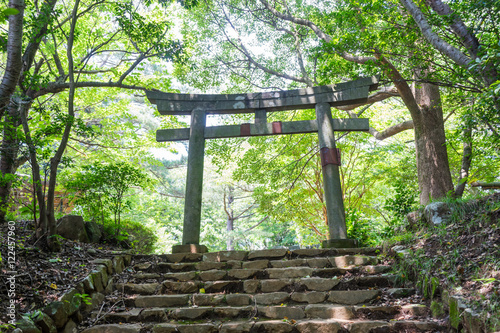 Torii of Izusan shrine Hongu