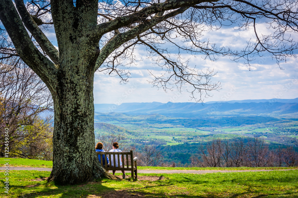 Bench and tree, with view of the Blue Ridge at Dickey Ridge Visi Stock ...