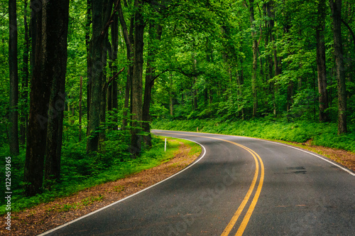 Curve along Skyline Drive in the woods, in Shenandoah National P