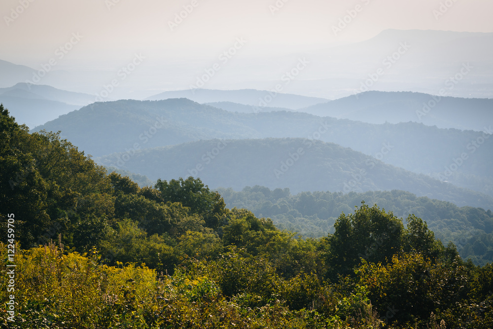 Layers of the Blue Ridge, seen from Skyline Drive, in Shenandoah