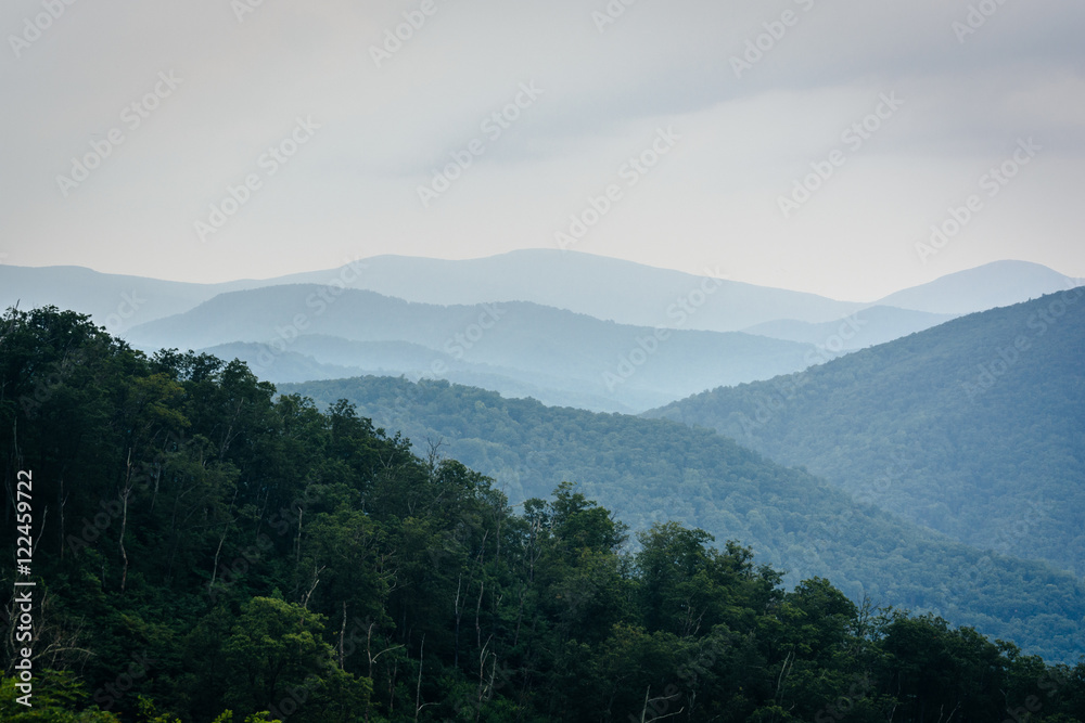 Layers of the Blue Ridge, seen in Shenandoah National Park, Virg
