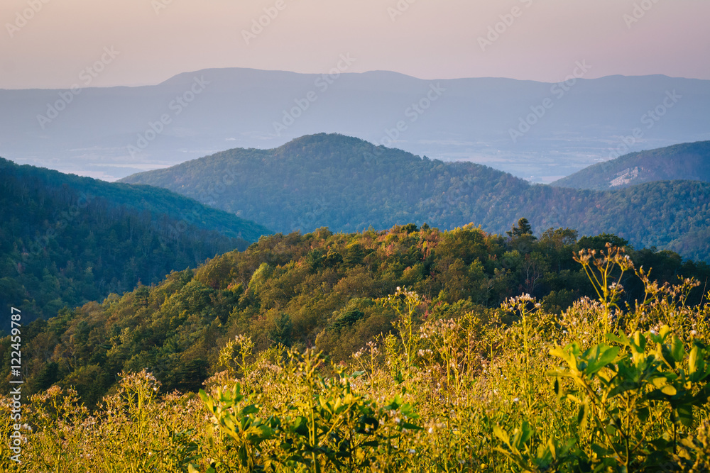 Layers of the Blue Ridge Mountains seen at sunset, from Skyline