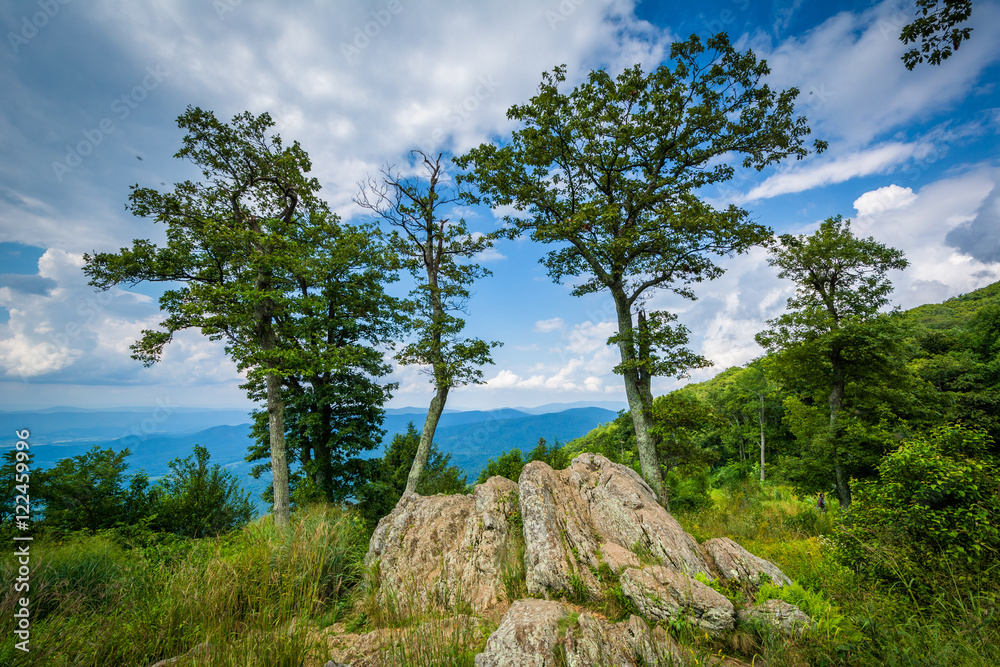 Rocks and trees at Jewell Hollow Overlook in Shenandoah National