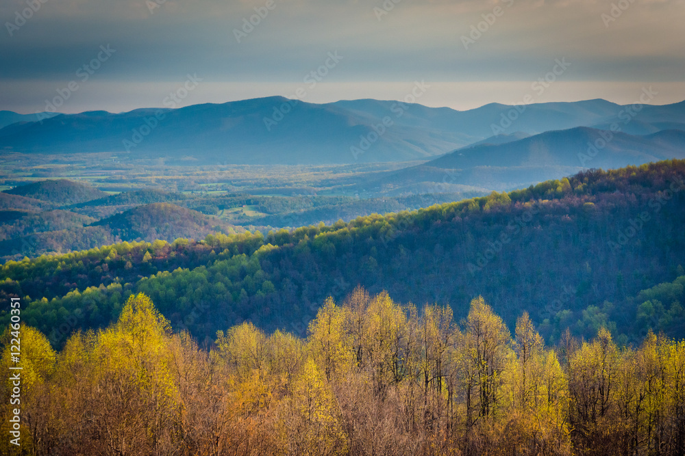 Spring view of the Blue Ridge and Shenandoah Valley from Skyline