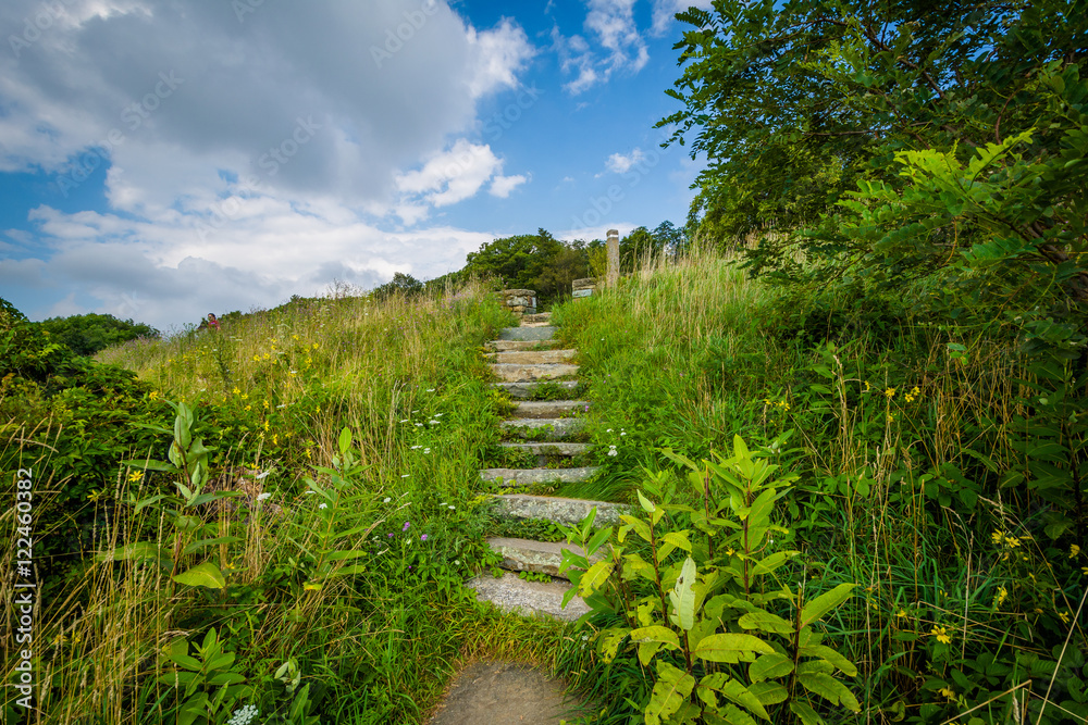 Stairs on a trail in Shenandoah National Park, Virginia. Stairs on a trail in Shenandoah National Park, Virginia.