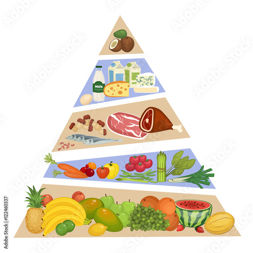 Food pyramid. Fruits, vegetables, meat and fish, dairy products vector illustrations in order of importance. Components of recommended ration. For healthy nutrition illustrating. Isolated on white